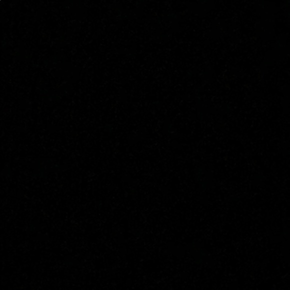 Meet your Posher, Annie - Picture 1 of 1